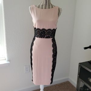 The Limited Blush & Black Lace Dress